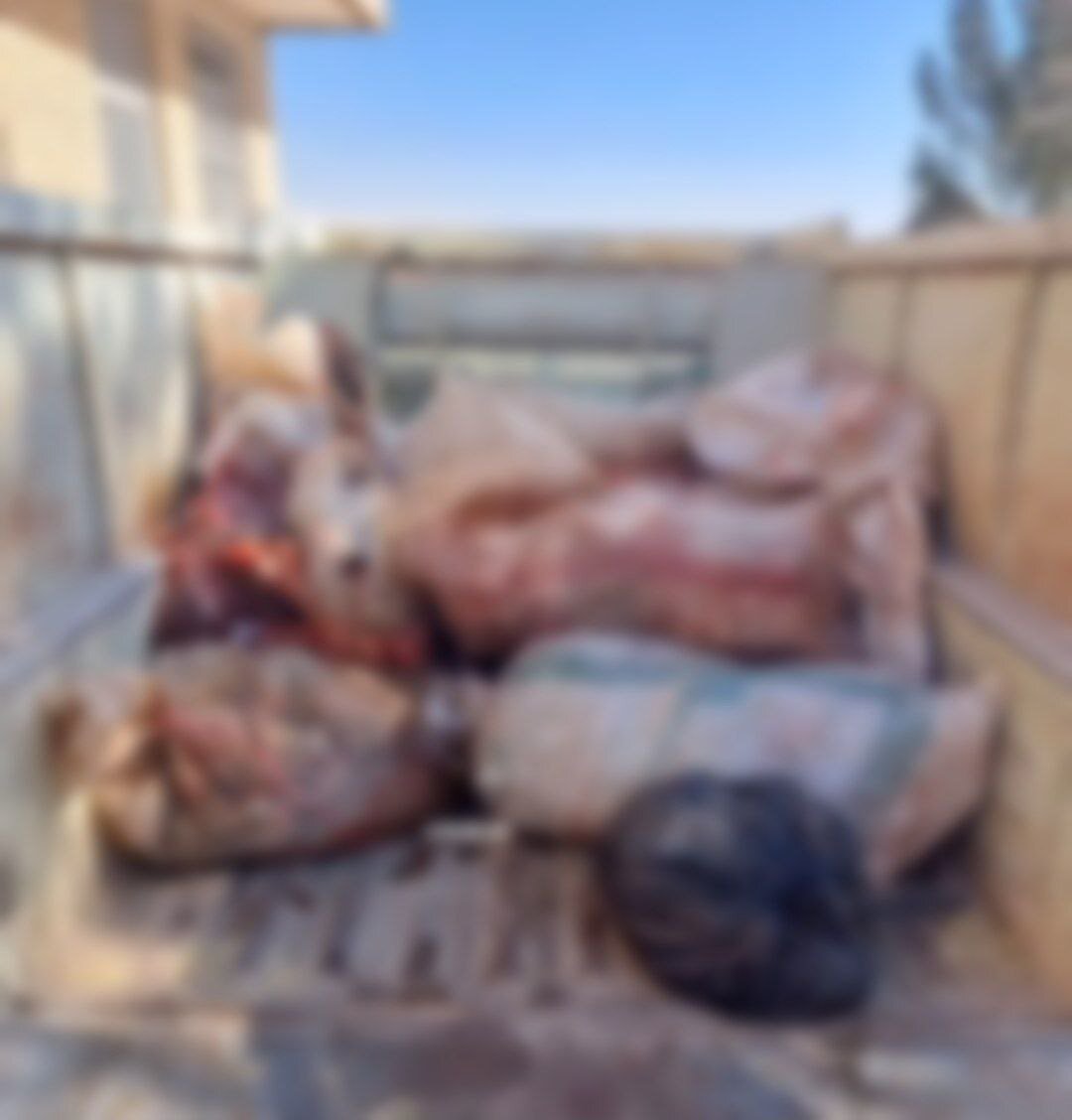 عکس | ضبط گوشت خر از یک خودرو در محور نیشابور به مشهد