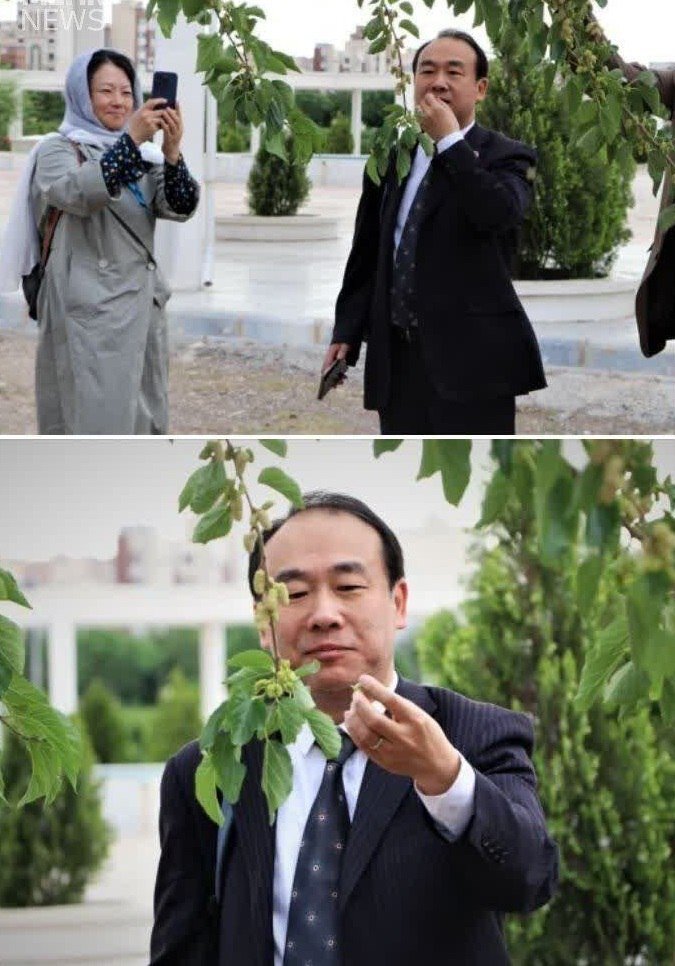 عکس | حرکت جالب چینی‌ها در حیاط دانشگاه دولتی قم