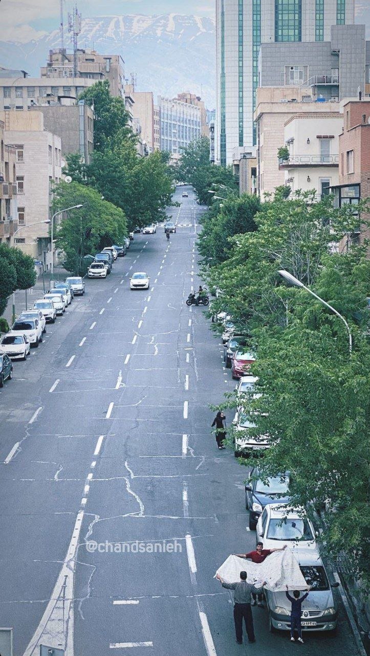 عکس | قابی جالب از چیدن توت از درخت‌های خیابان‌های تهران توسط مردم
