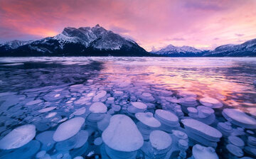 ببینید | دریاچه یخزده سوئیس؛ حبابهای متان و گلهای یخی درخشان ببینید | دریاچه یخزده سوئیس؛ حبابهای متان و گلهای یخی درخشان