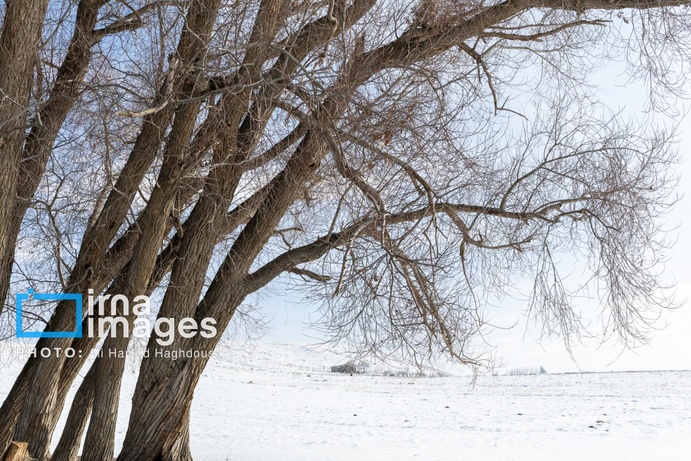 تصاویر | سهند سپیدپوش شد