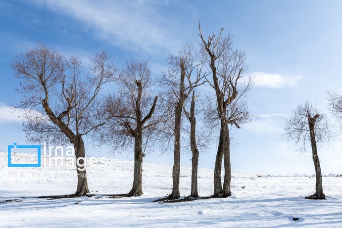 تصاویر | سهند سپیدپوش شد