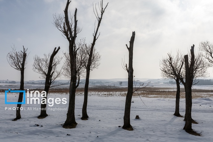 تصاویر | سهند سپیدپوش شد