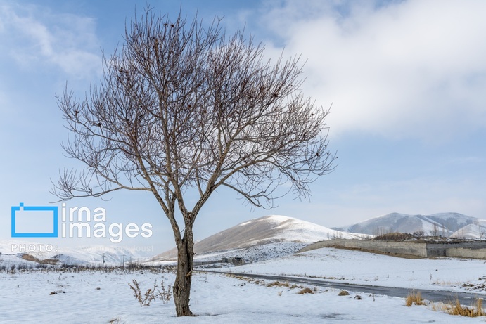 تصاویر | سهند سپیدپوش شد