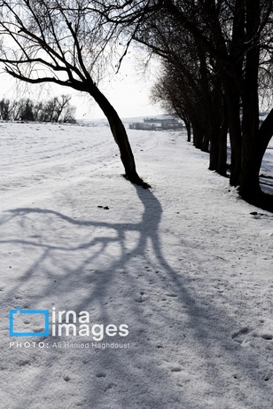 تصاویر | سهند سپیدپوش شد