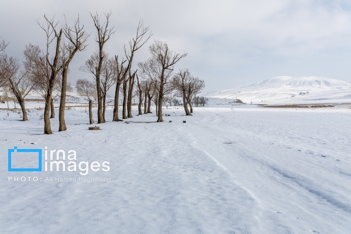 تصاویر | سهند سپیدپوش شد