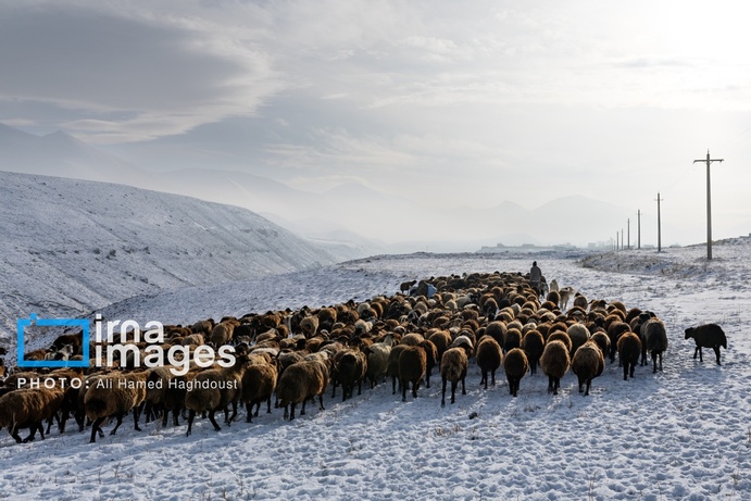 تصاویر | سهند سپیدپوش شد