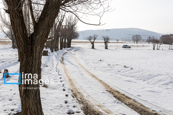 تصاویر | سهند سپیدپوش شد