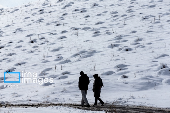 تصاویر | سهند سپیدپوش شد