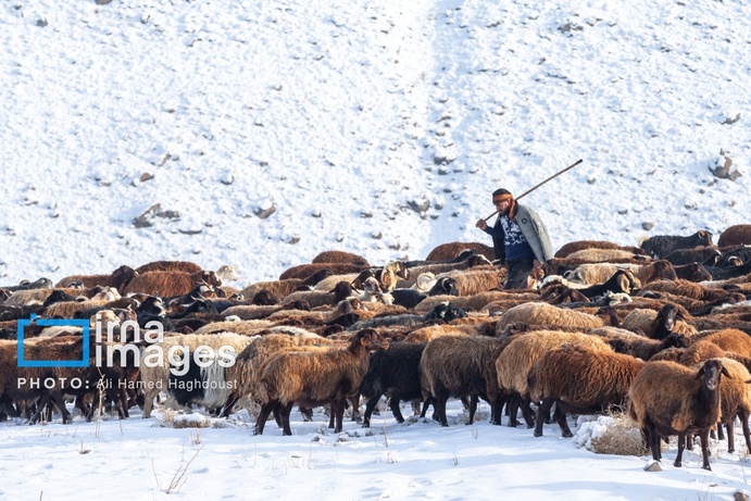 تصاویر | سهند سپیدپوش شد