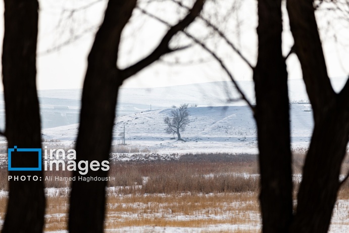 تصاویر | سهند سپیدپوش شد