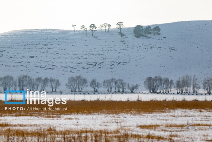 تصاویر | سهند سپیدپوش شد