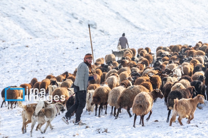 تصاویر | سهند سپیدپوش شد