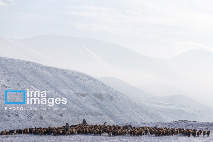 تصاویر | سهند سپیدپوش شد