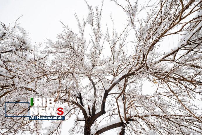تصاویر | شادی مردم در تفت یزد پس از بارش شدید برف