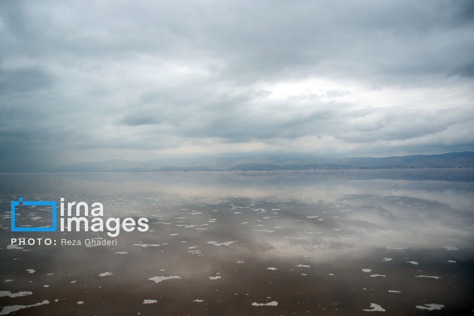 تصاویر | دریاچه مهارلو زنده شد؛ بازگشت فلامینگوها
