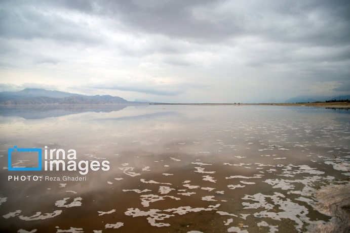 تصاویر | دریاچه مهارلو زنده شد؛ بازگشت فلامینگوها