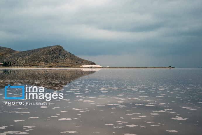 تصاویر | دریاچه مهارلو زنده شد؛ بازگشت فلامینگوها