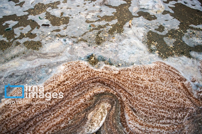 تصاویر | دریاچه مهارلو زنده شد؛ بازگشت فلامینگوها