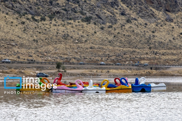 تصاویر | دریاچه مهارلو زنده شد؛ بازگشت فلامینگوها
