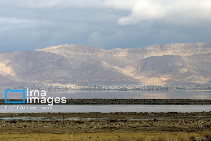 تصاویر | دریاچه مهارلو زنده شد؛ بازگشت فلامینگوها