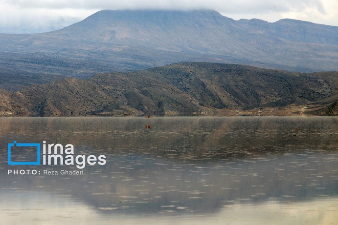 تصاویر | دریاچه مهارلو زنده شد؛ بازگشت فلامینگوها