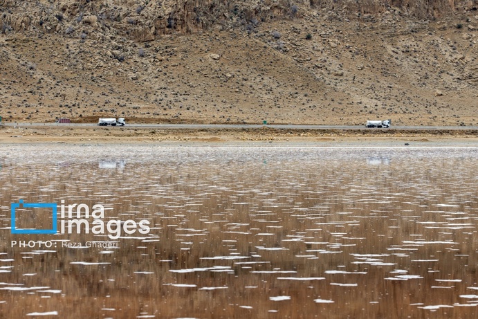 تصاویر | دریاچه مهارلو زنده شد؛ بازگشت فلامینگوها