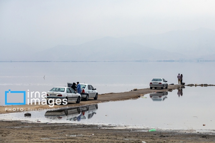 تصاویر | دریاچه مهارلو زنده شد؛ بازگشت فلامینگوها