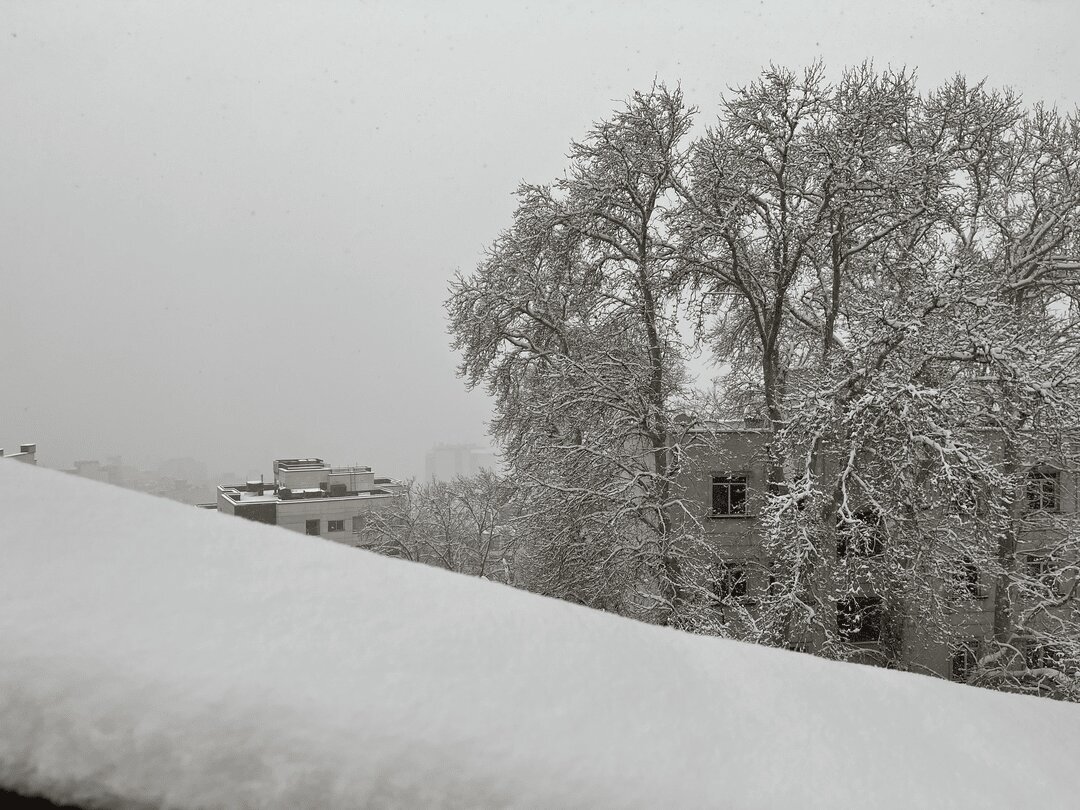 تصاویر | برف ۲۰ سانتی‌متری شمال تهران را پوشاند