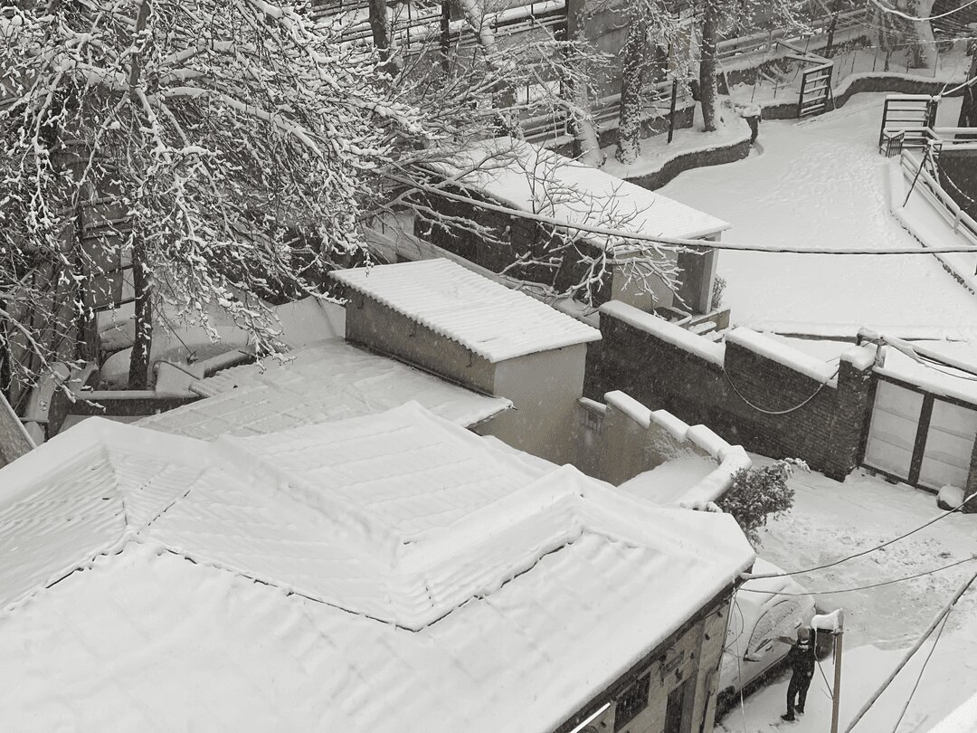 تصاویر | برف ۲۰ سانتی‌متری شمال تهران را پوشاند