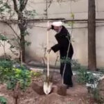 ببینید |  بغض رئیس قوه قضاییه هنگام غرس نهال به یاد رهبر شهید انقلاب