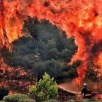 ببینید | آتش‌سوزی‌های گسترده، آسمان شرق کانادا را نارنجی‌رنگ کرد