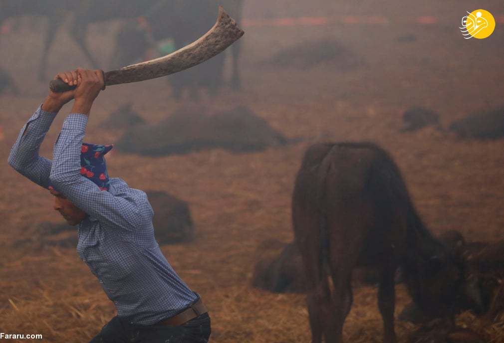 (تصاویر) (تصاویر)