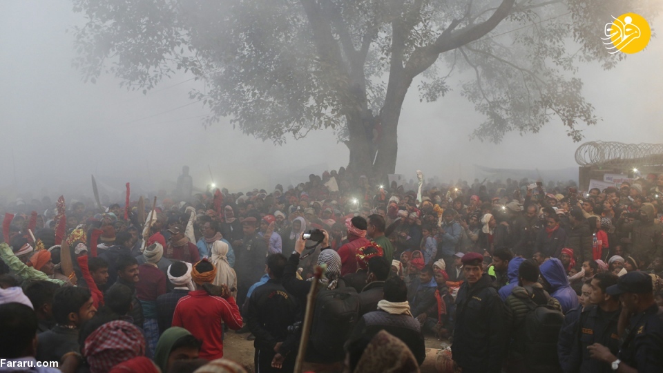 (تصاویر) (تصاویر)