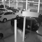 بینید | لحظه سرقت ۳ خودروی لوکس از داخل نمایشگاه در ۳۰ ثانیه مقابل دوربین مداربسته!