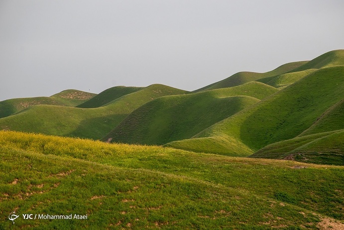 تصاویر| خشکسالی بی سابقه در ترکمن صحرا