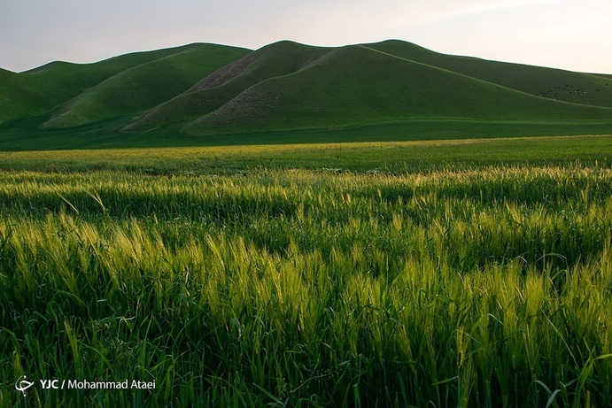 تصاویر| خشکسالی بی سابقه در ترکمن صحرا