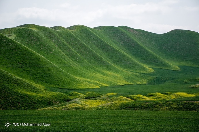 تصاویر| خشکسالی بی سابقه در ترکمن صحرا