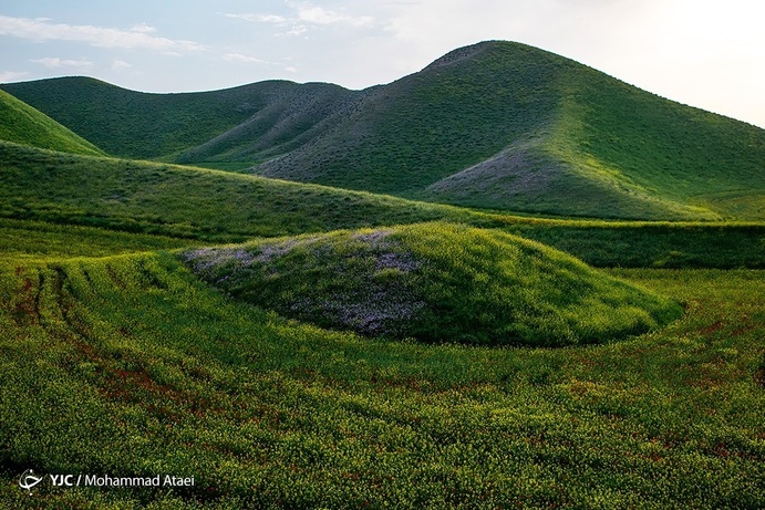 تصاویر| خشکسالی بی سابقه در ترکمن صحرا