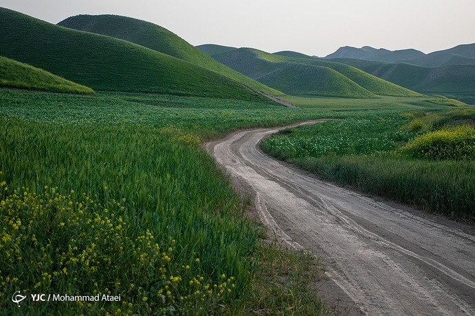 تصاویر| خشکسالی بی سابقه در ترکمن صحرا
