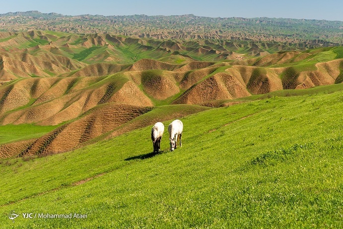 تصاویر| خشکسالی بی سابقه در ترکمن صحرا
