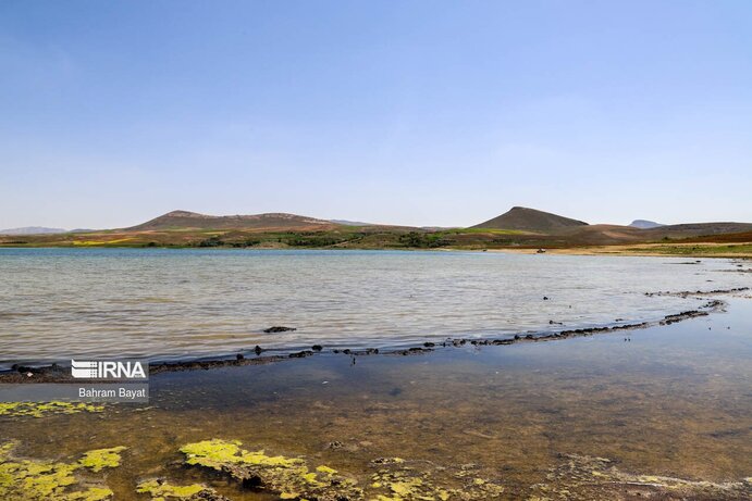 تصاویر| مرگ ماهی‌های سد گلابر