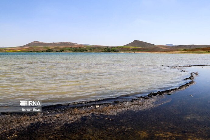 تصاویر| مرگ ماهی‌های سد گلابر