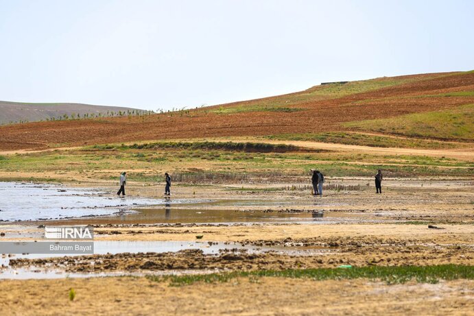 تصاویر| مرگ ماهی‌های سد گلابر