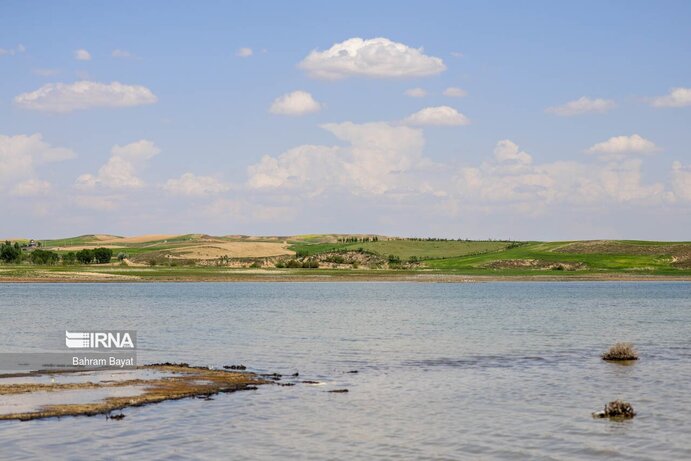 تصاویر| مرگ ماهی‌های سد گلابر