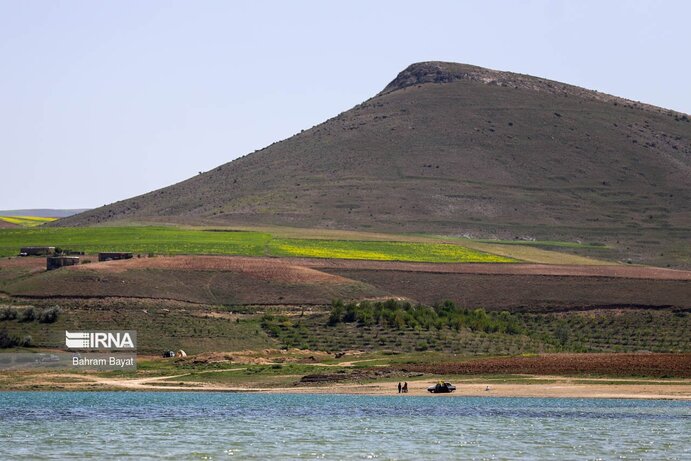 تصاویر| مرگ ماهی‌های سد گلابر