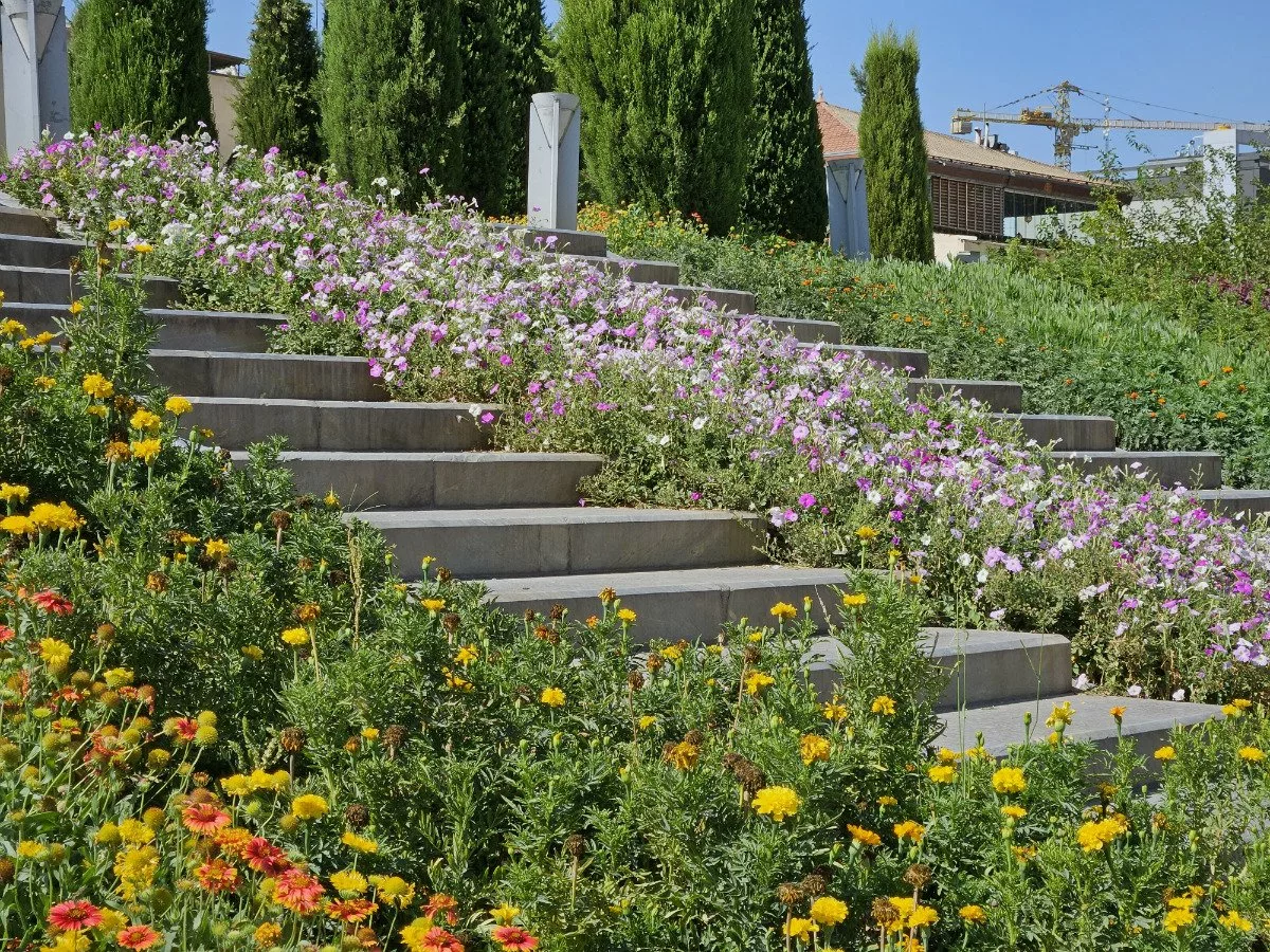 بررسی سامسونگ گلکسی زد فولد ۵؛ پر از امکانات، خالی از کاربرد