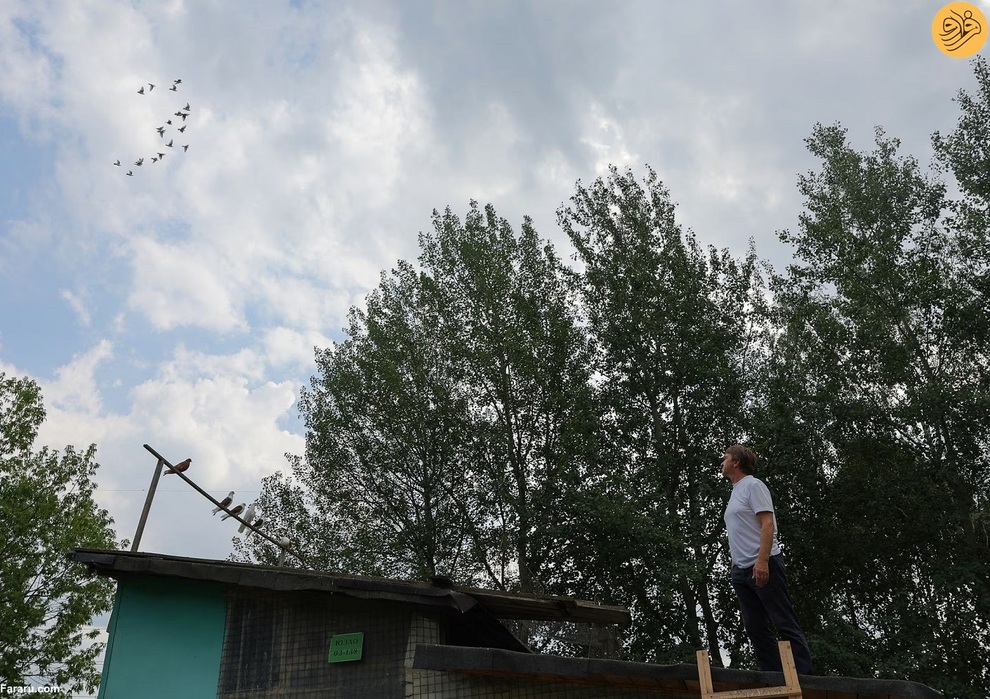 (تصاویر) پیرمردهای کبوترباز در روسیه