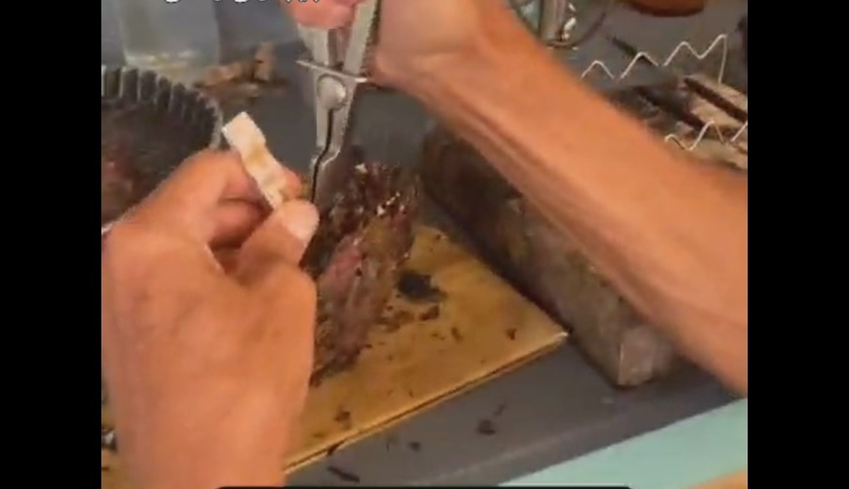 مروارید طبیعی این گونه به دست می آید (فیلم)