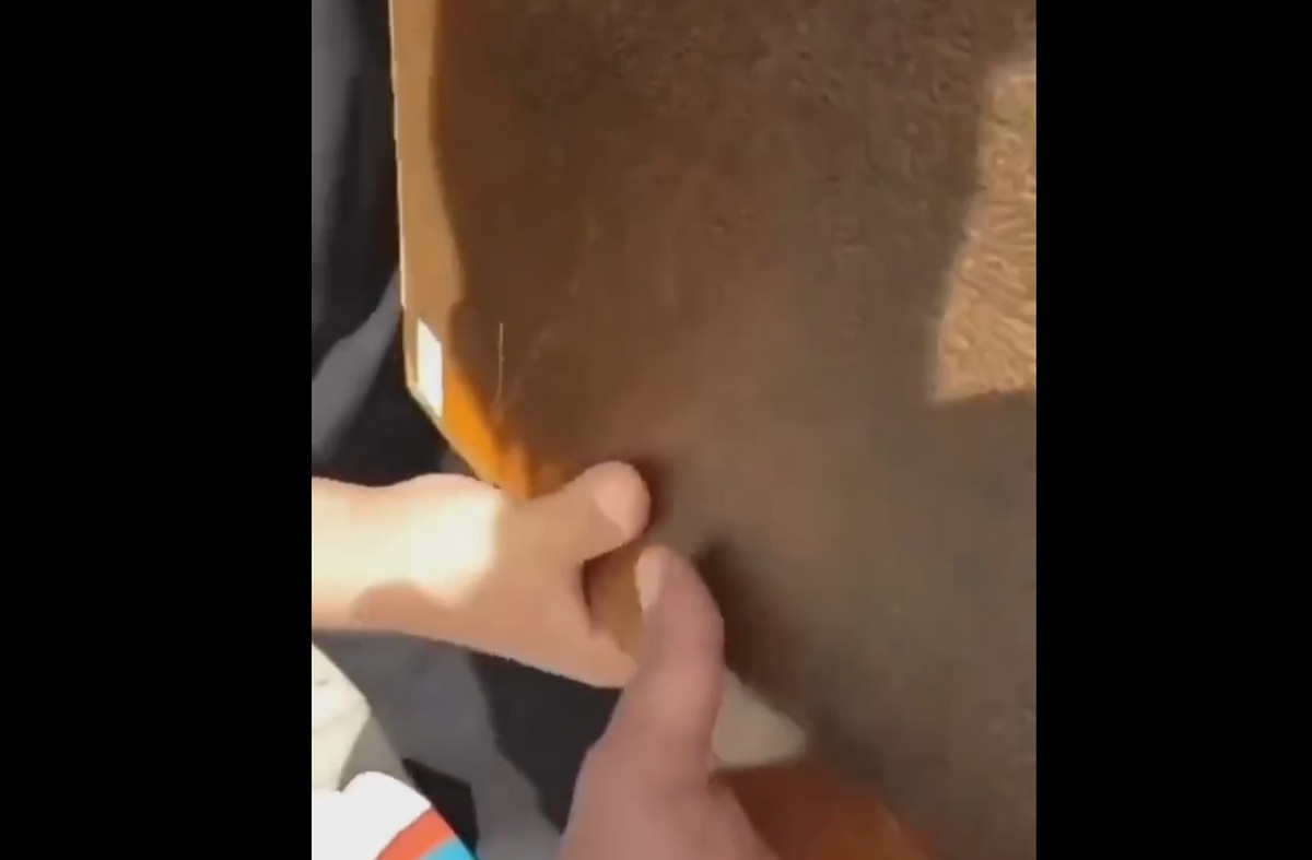 شخصی که نام فلسطین را در یک کتاب عتیقه در سوئد جستجو می کرد (فیلم)